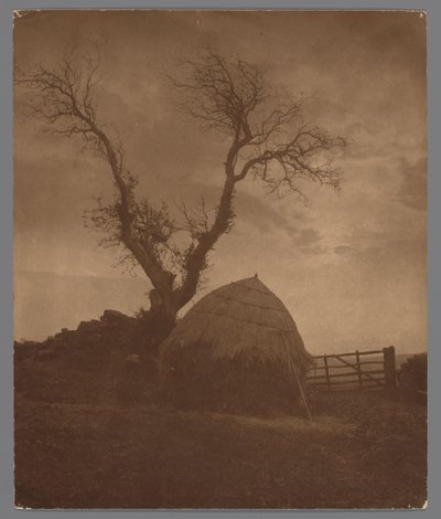 Most Egton w Whitby bij zonsondergang Godzina policyjna Słońca (tytuł na obiekcie) autorstwa Frank Meadow Sutcliffe