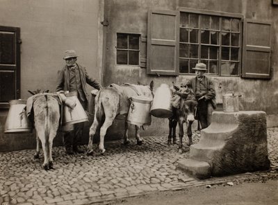 Mleczne Osły autorstwa Frank Meadow Sutcliffe