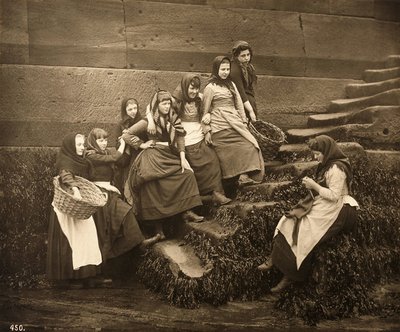 Kobiety czekające na dni łowią, port Whitby, North Yorkshire, ok.1899 autorstwa Frank Meadow Sutcliffe