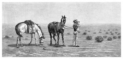 Nic w zasięgu wzroku, 1886. autorstwa Frank P. Mahony