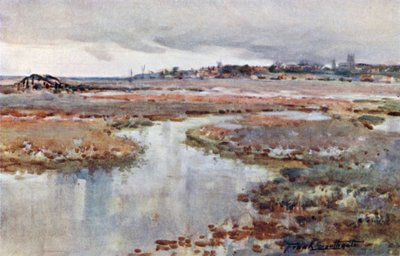 Blakeney, charakterystyczny krajobraz (kolorowa litografia) autorstwa Frank Southgate