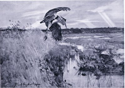 Jack Harnser-Heron autorstwa Frank Southgate