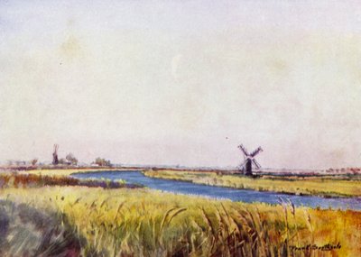 Norfolk Broads: Powyżej St Olaves (kolor lito) autorstwa Frank Southgate