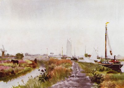 Norfolk Broads: Poniżej Potter Heigham (kolor lito) autorstwa Frank Southgate