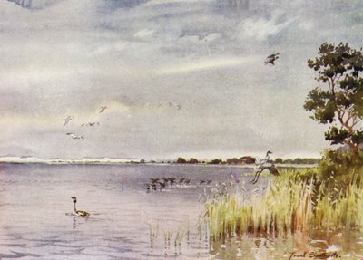 Norfolk Broads: Horsey Mere autorstwa Frank Southgate