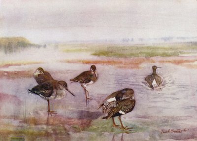 Norfolk Broads: Redshank (kolor lito) autorstwa Frank Southgate
