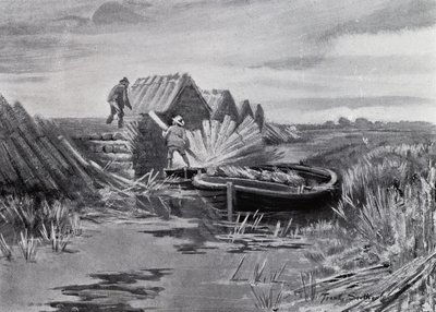 Norfolk Broads: układanie trzciny (lito) autorstwa Frank Southgate