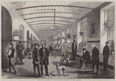 Szpital Królewski w Betlejem, Galeria dla Mężczyzn autorstwa Frank Vizetelly