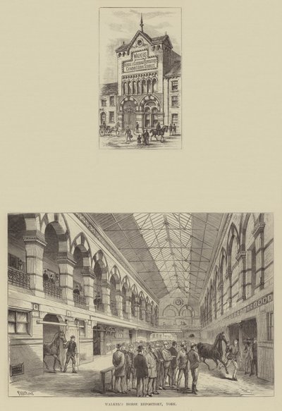 Repozytorium koni Walkera, York autorstwa Frank Watkins