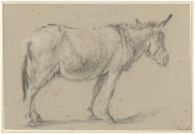 Stojący osioł, zwrócony w prawo autorstwa François Boucher (possibly)