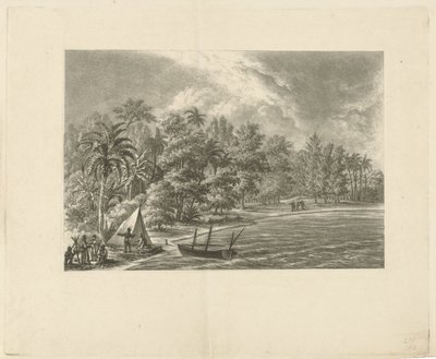 Tropikalny krajobraz autorstwa François Joseph Pfeiffer (II)