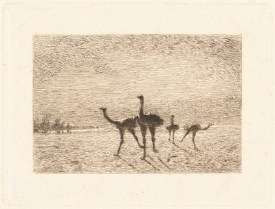 Strusie na pustyni autorstwa François Nicolas Auguste Feyen Perrin