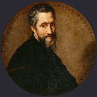 Michelangelo Buonarroti i Michel-Ange autorstwa Frans Floris