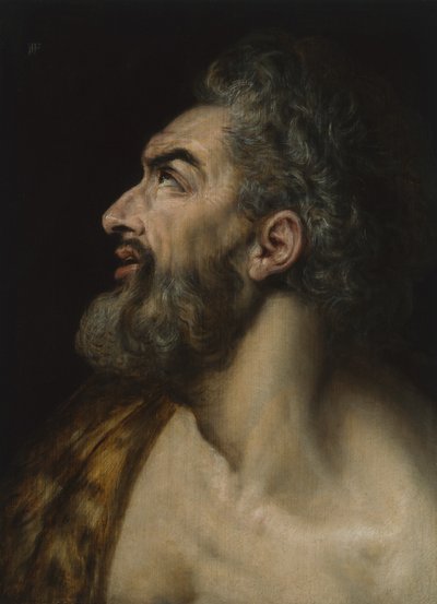 Głowa gabinetu brodatego mężczyzny, ok. 1565 (olej na desce) autorstwa Frans Floris