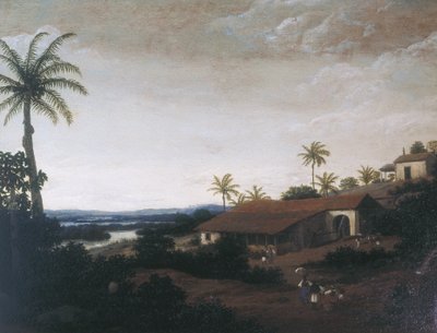 Cukrownia autorstwa Frans Post