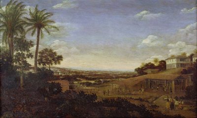 Nieznany obraz autorstwa Frans Post