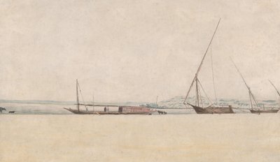 Tropikalny krajobraz wybrzeża, XVII wiek. autorstwa Frans Post.