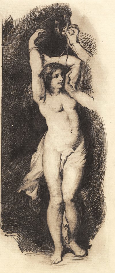 Andromeda, według Rubensa autorstwa Frans Schwartz