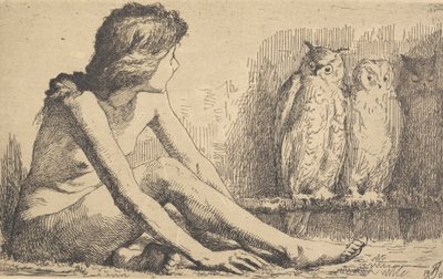 Dziewczyna z sowami autorstwa Frans Schwartz