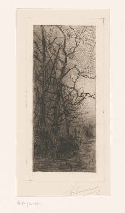 Drzewa nad wodą autorstwa Frans Smissaert (signed by artist)