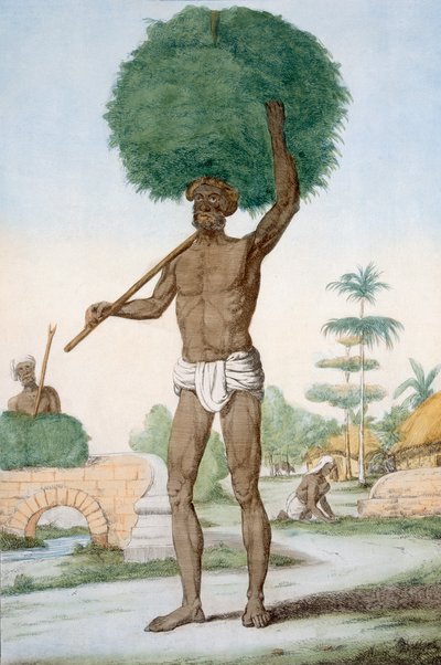 Hinduski sługa ścinający trawę, „Hindusi, czyli opis ich manier, strojów i ceremonii”, ok. 1808-12 (kolorowa akwaforta) autorstwa Franz Balthazar Solvyns