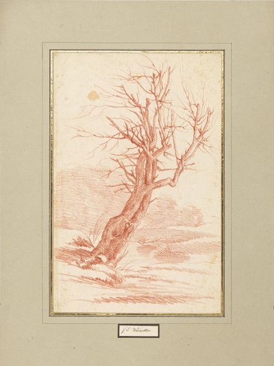 Badanie drzewa autorstwa Franz Edmund Weirotter