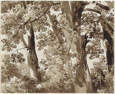 Drzewa z gęstym podszyciem autorstwa Franz Innocenz Josef Kobell