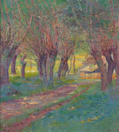 Wierzby Pollard w Weyer autorstwa Franz Jaschke