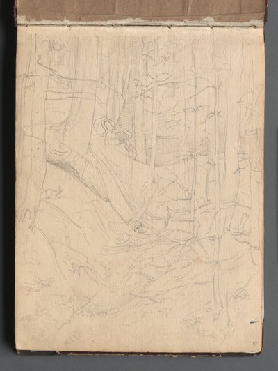 Album z Widokami Rzymu i okolic, Studia krajobrazowe, strona 01a: Krajobraz rzymski. autorstwa Franz Johann Heinrich Nadorp
