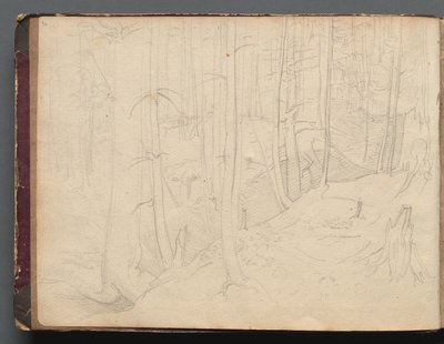 Album z widokami Rzymu i okolic, Studia krajobrazowe, strona 01b: Krajobraz rzymski autorstwa Franz Johann Heinrich Nadorp