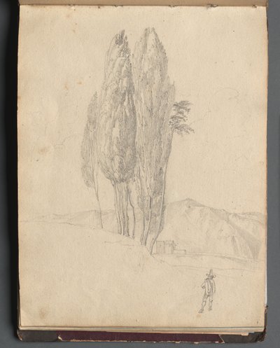 Album z Widokami Rzymu i okolic, Studia krajobrazowe, s. 20a: Drzewa autorstwa Franz Johann Heinrich Nadorp