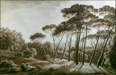 Sosny w Villa Doria Pamphili autorstwa Franz Kaisermann