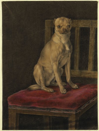 Mops autorstwa Franz Krüger