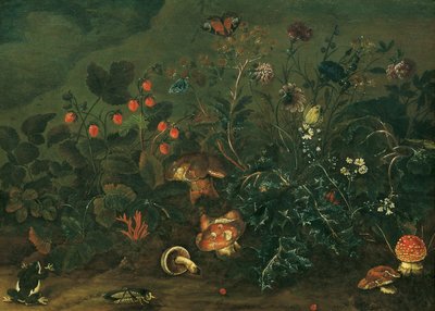  autorstwa Franz Michael Sigismund von Burgau the Elder