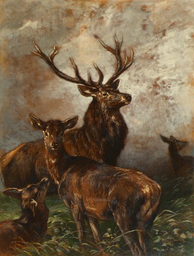 Jelenie i łanie autorstwa Franz Xaver von Pausinger