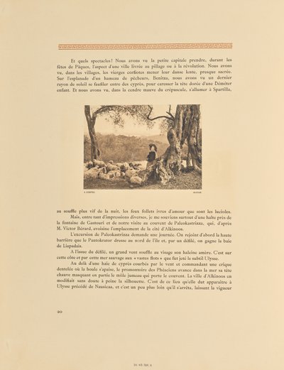 Korfu. Gaj oliwny autorstwa Frédéric Boissonnas