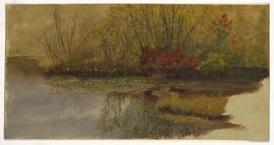 Zakątek stawu autorstwa Frederic Edwin Church