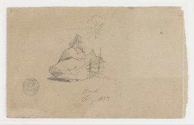 Koza w Pandi, Kolumbia autorstwa Frederic Edwin Church