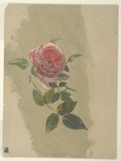 Gałązka róży autorstwa Frederic Edwin Church