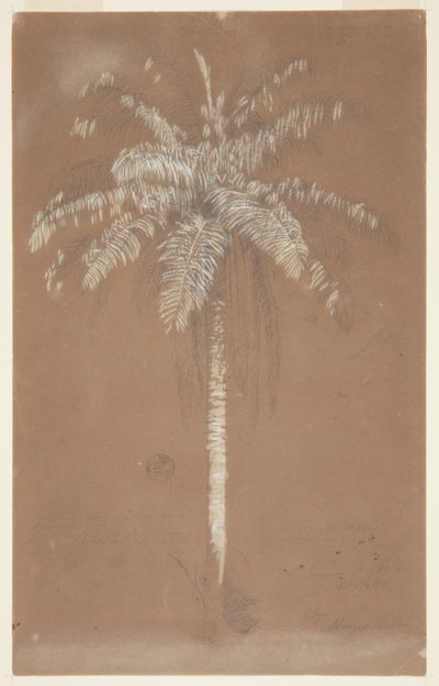 Chodź, Pam. sulus, jamajka autorstwa Frederic Edwin Church