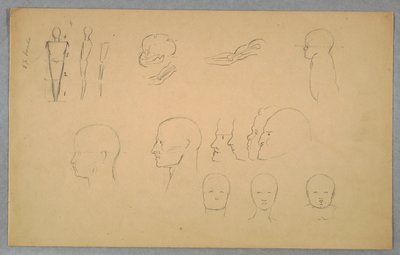 Studia anatomiczne autorstwa Frederic Edwin Church