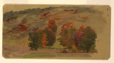 Jesienny krajobraz autorstwa Frederic Edwin Church