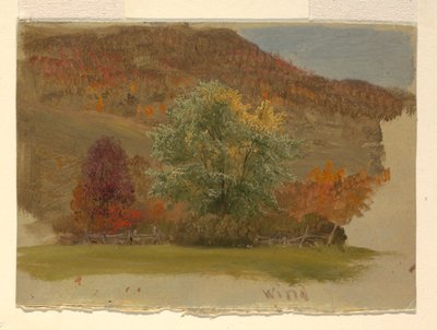 Jesienny krajobraz autorstwa Frederic Edwin Church