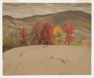 Jesienny krajobraz w Nowej Anglii autorstwa Frederic Edwin Church