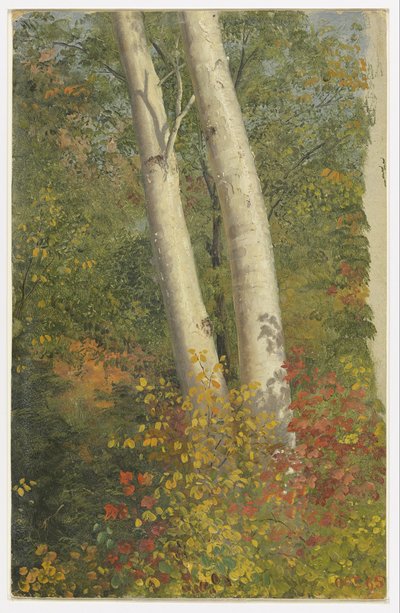 Brzozy jesienią autorstwa Frederic Edwin Church