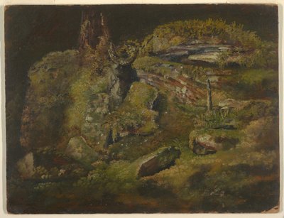 Głaz w lesie autorstwa Frederic Edwin Church