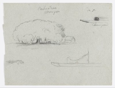 Drzewo ceiba w Mompos, kajak Champan, drzewa i częściowo łódź, Rio Magdelena, Kolumbia autorstwa Frederic Edwin Church
