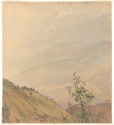 Odległe wzgórza, Jamajka autorstwa Frederic Edwin Church