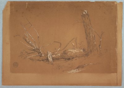 Rysunek, Złamane martwe drzewo, 1855-65 autorstwa Frederic Edwin Church