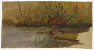Rysunek, Zakątek stawu, ok. 1860 r. autorstwa Frederic Edwin Church